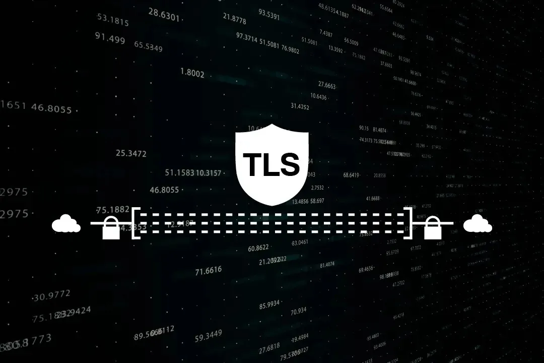 emSSL